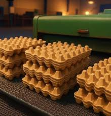 تصویر 4 از شانه تخم مرغ نظم مطمئن حمل آسان